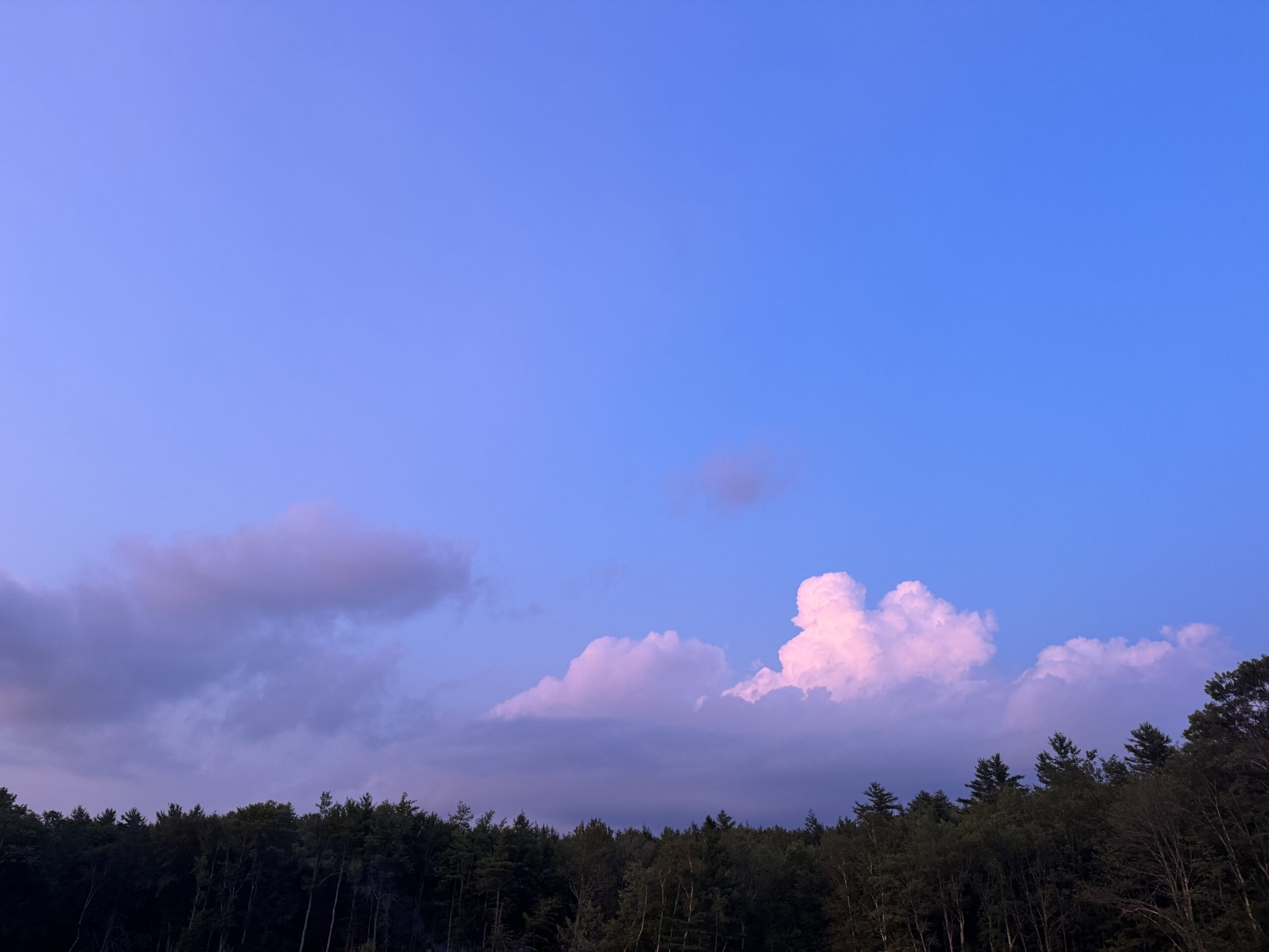 Still Hill Farm sky